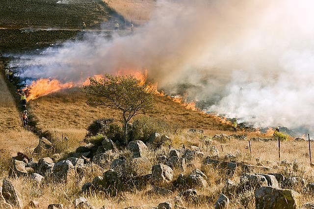 grass-fire-g3fe991af7_640 Wildfires caused by lightning tend to be larger and burn more acreage.