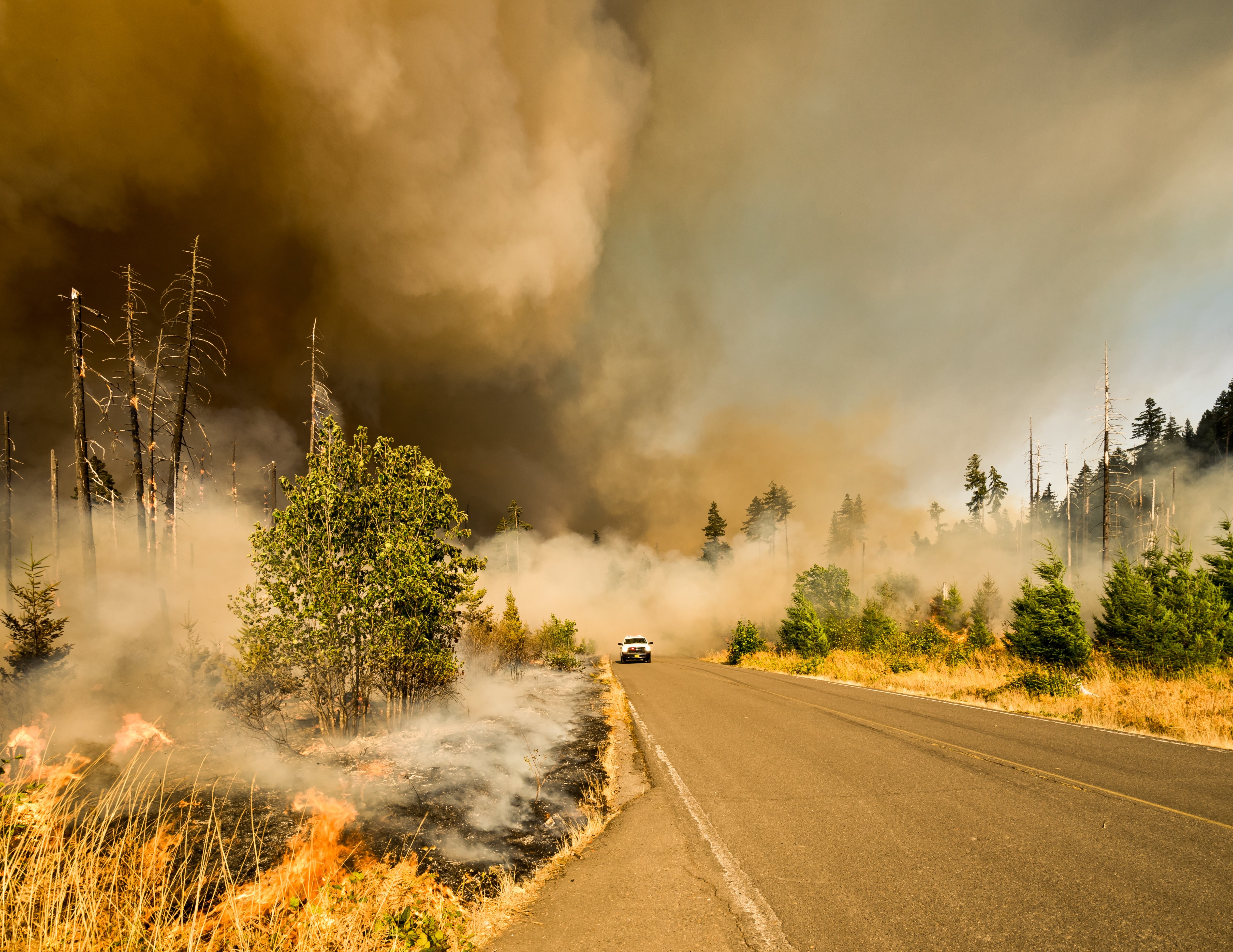 wildfires Customer impacted by the wildfires in Washington