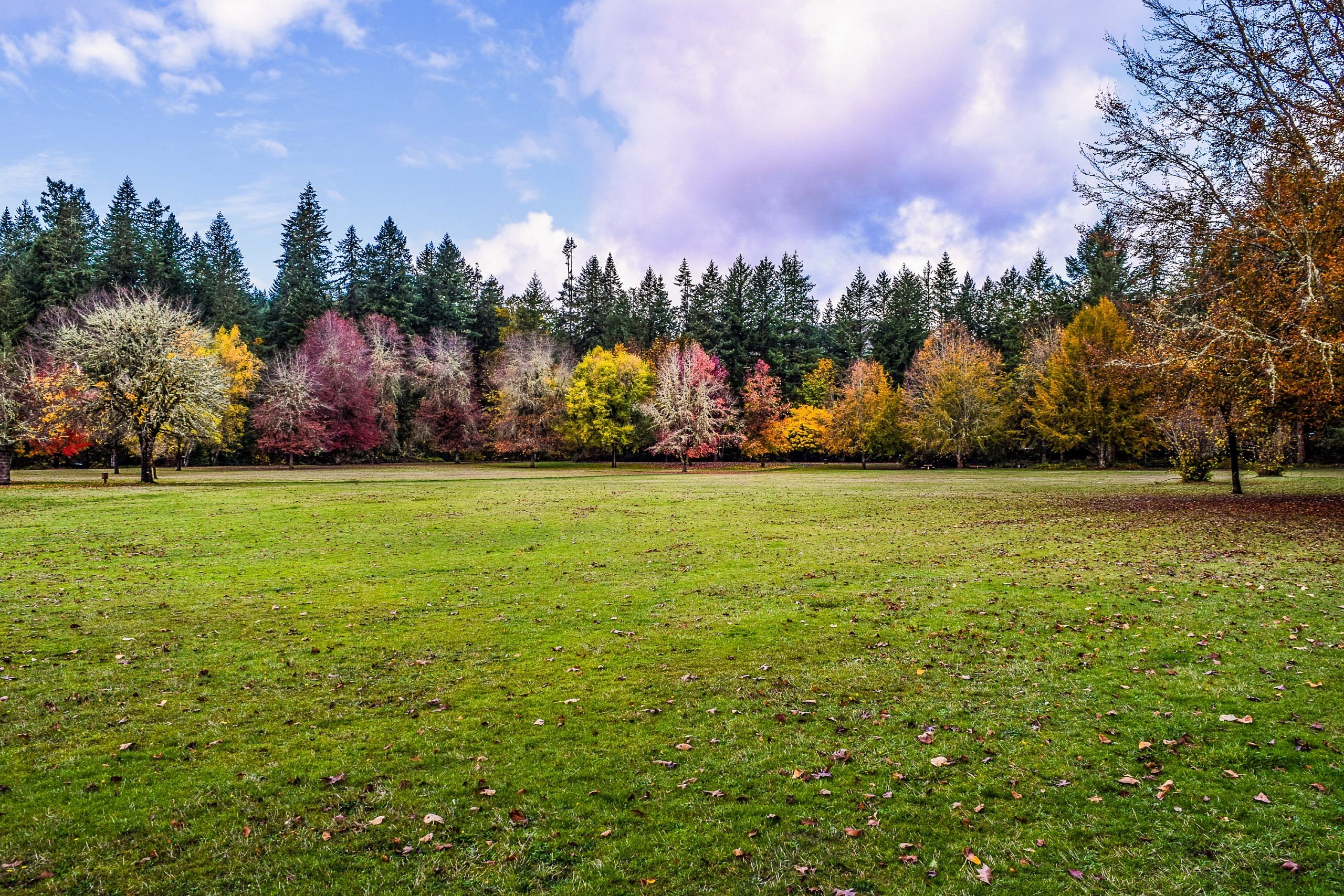 lawn-fall-scaled Prep Your Lawn for Fall