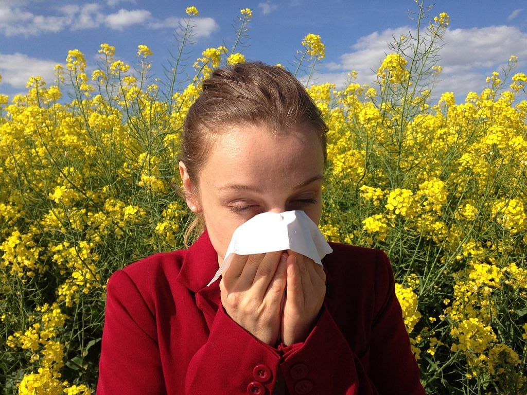 allergy-1738191_1280-1024x768 Common Fall Allergens and How to Fight Them